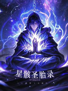 星骸骑士解语师